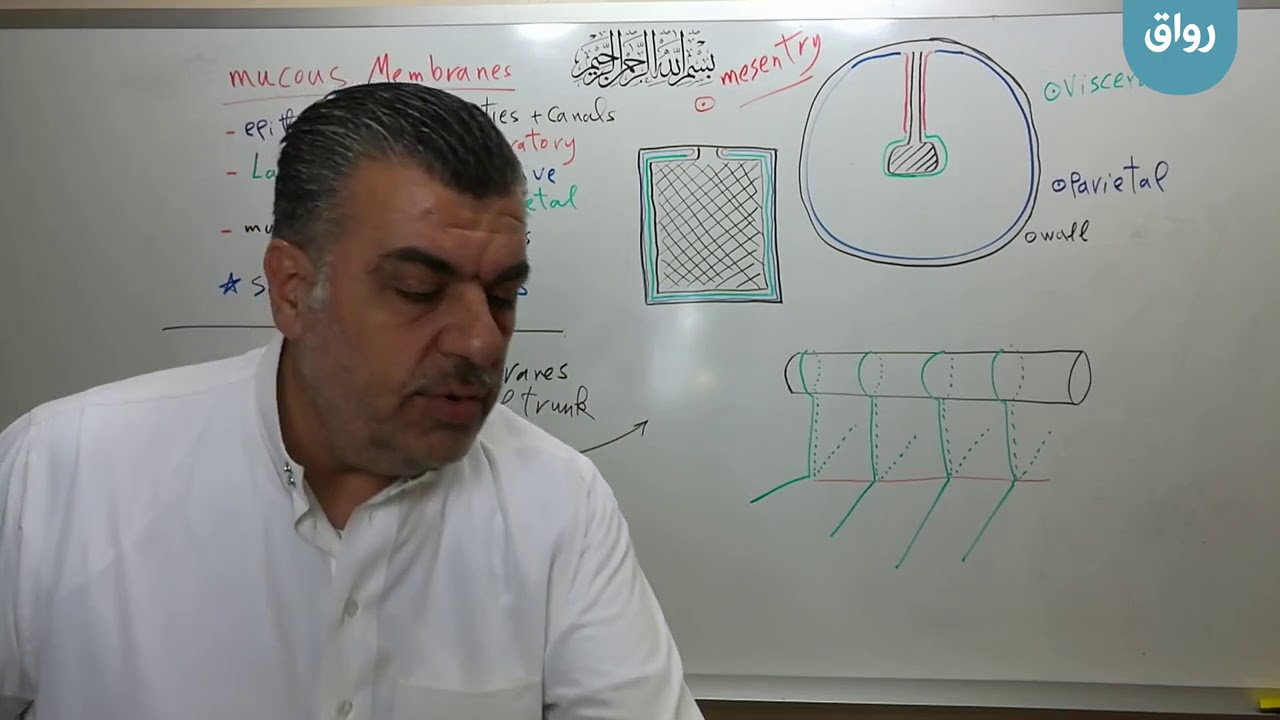 مقدمة  14 : الأغشية المخاطية و المصلية mucous and serous members و أجواف الجسم - الدكتور منذر بركات