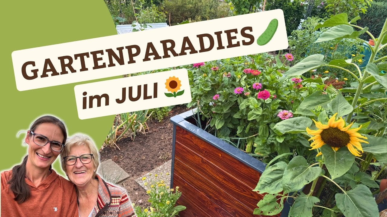 Gartenrundgang im Juli🥒🌻Das wächst & blüht jetzt