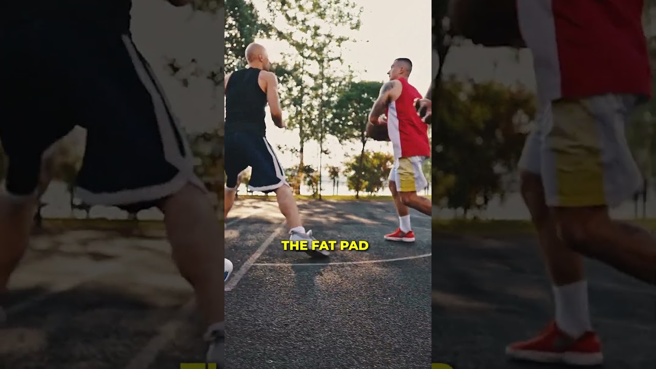 Hoffa&rsquo;s Fat Pad - Knee Pain #shorts #kneepain