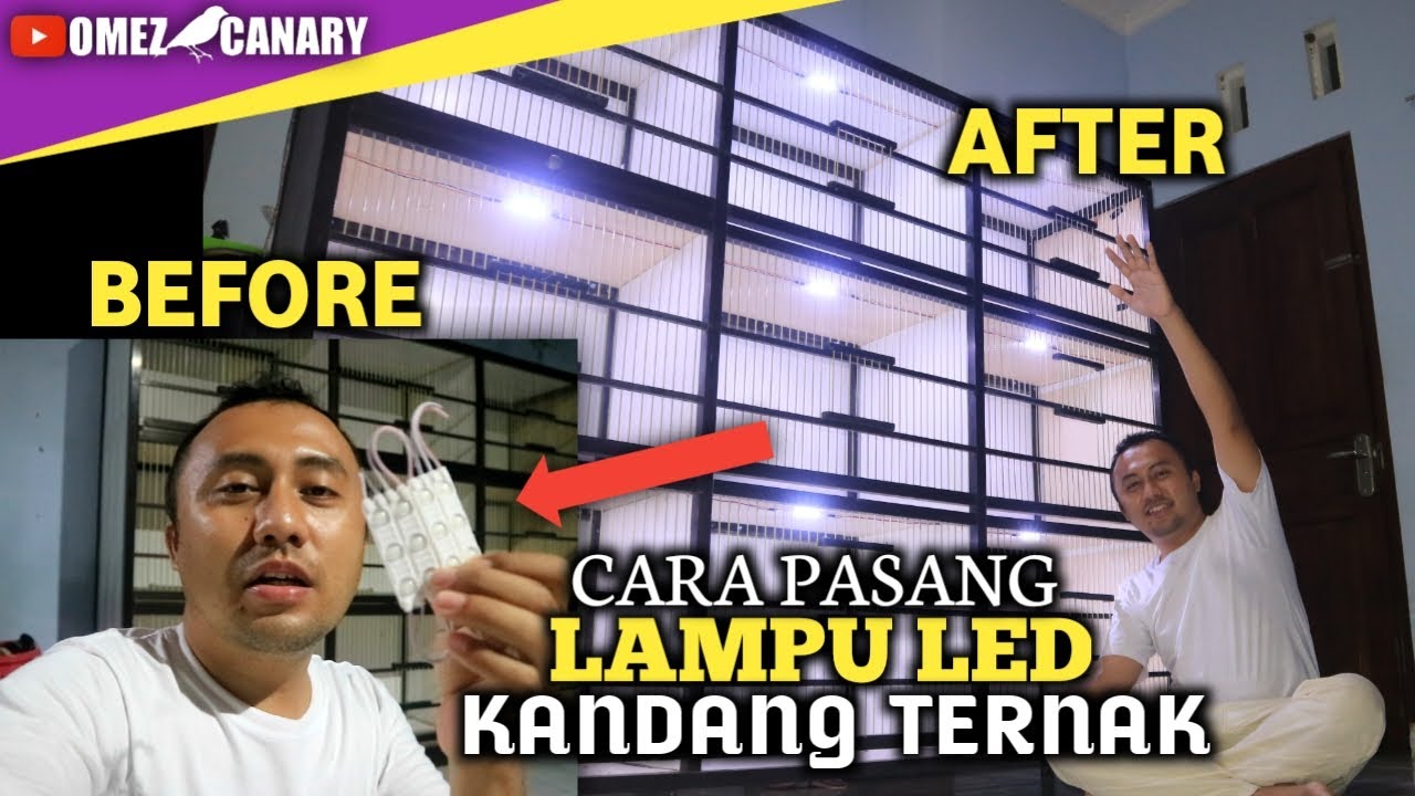 Lampu LED buat kandang ternak kenari | Hemat listrik dan biaya