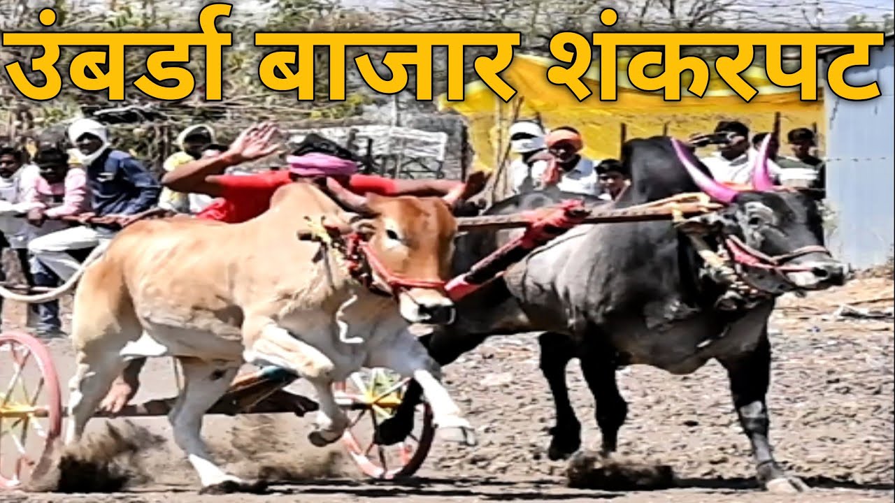 umbarda bajar shankarpat 2024