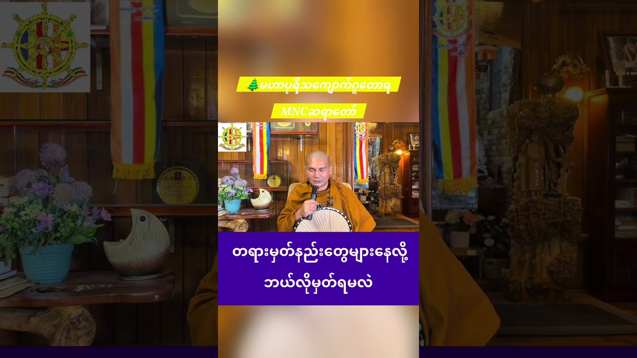 🌿တရားမှတ်နည်းတွေများနေလို့ ဘယ်လိုမှတ်ရမလဲ 🌲မဟာပုရိသကျောက်ဂူတောရ MNCဆရာတော်