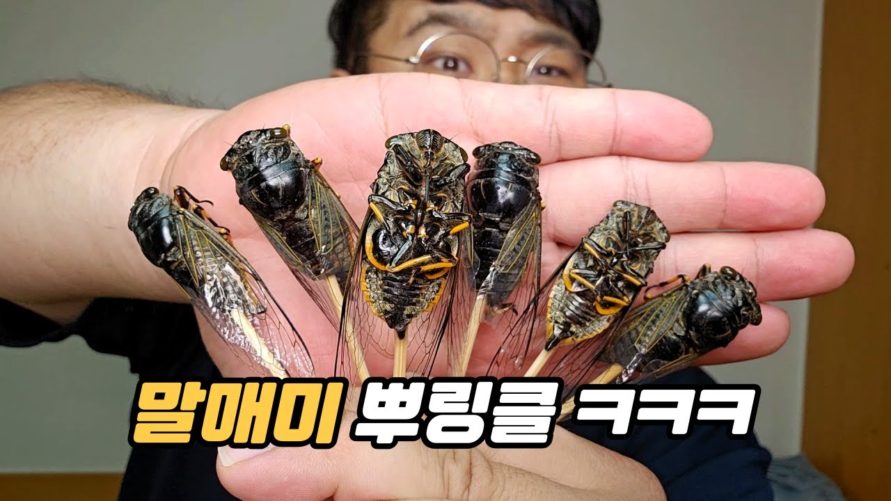 소음공해 1티어 말매미로 뿌링클 만들어서 열혈구독자 먹여보기 ㅋㅋㅋㅋㅋ(with.찹쌀떡)