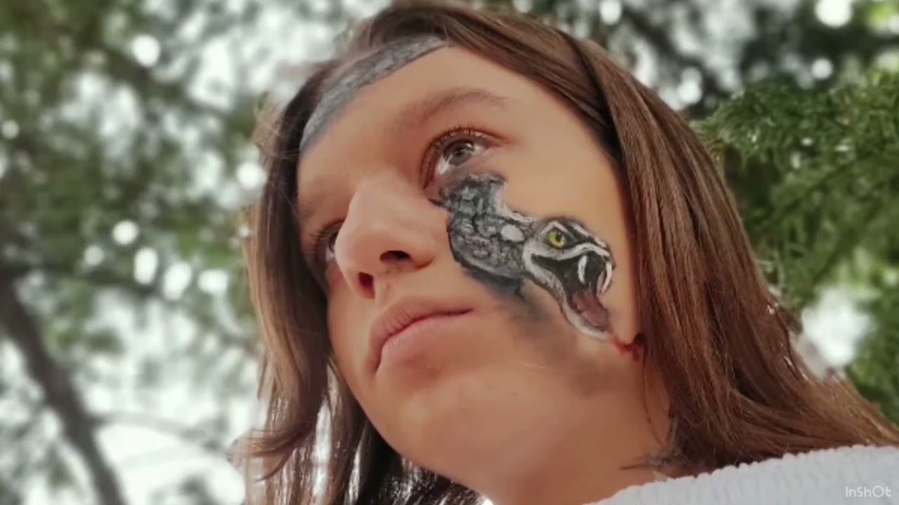 Videonajava za djelo Šuma Striborova (Ivana Brlić-Mažuranić), Osnovna škola 