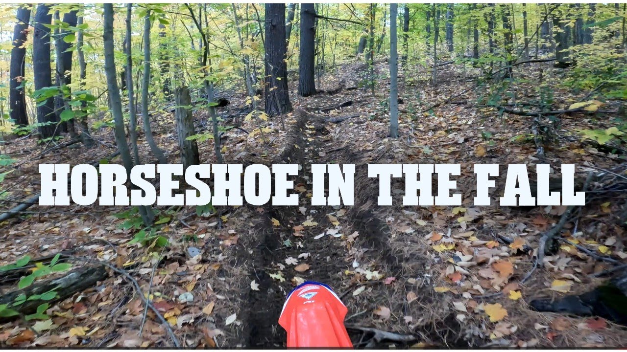 HORSESHOE IN THE FALL