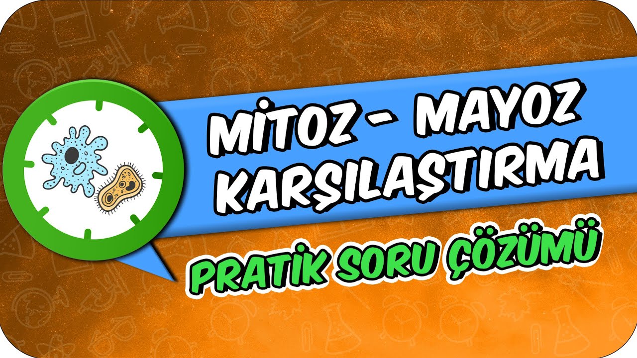 Mitoz - Mayoz Karşılaştırması  | Pratik Soru Çözümü