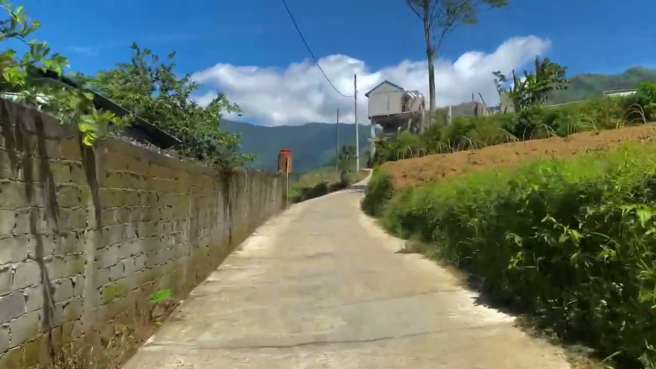 SUDAH LEBIH BAGUS..!!! Begini jalan menuju Bagas Luxury Camp Wonosobo