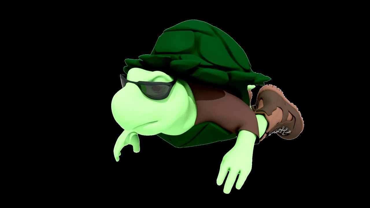 Torin the Turtle