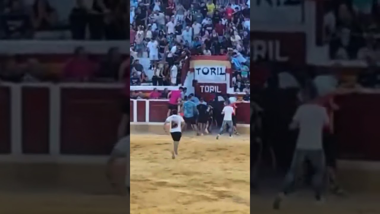 Cogida En Añover Dentro De Los Toriles