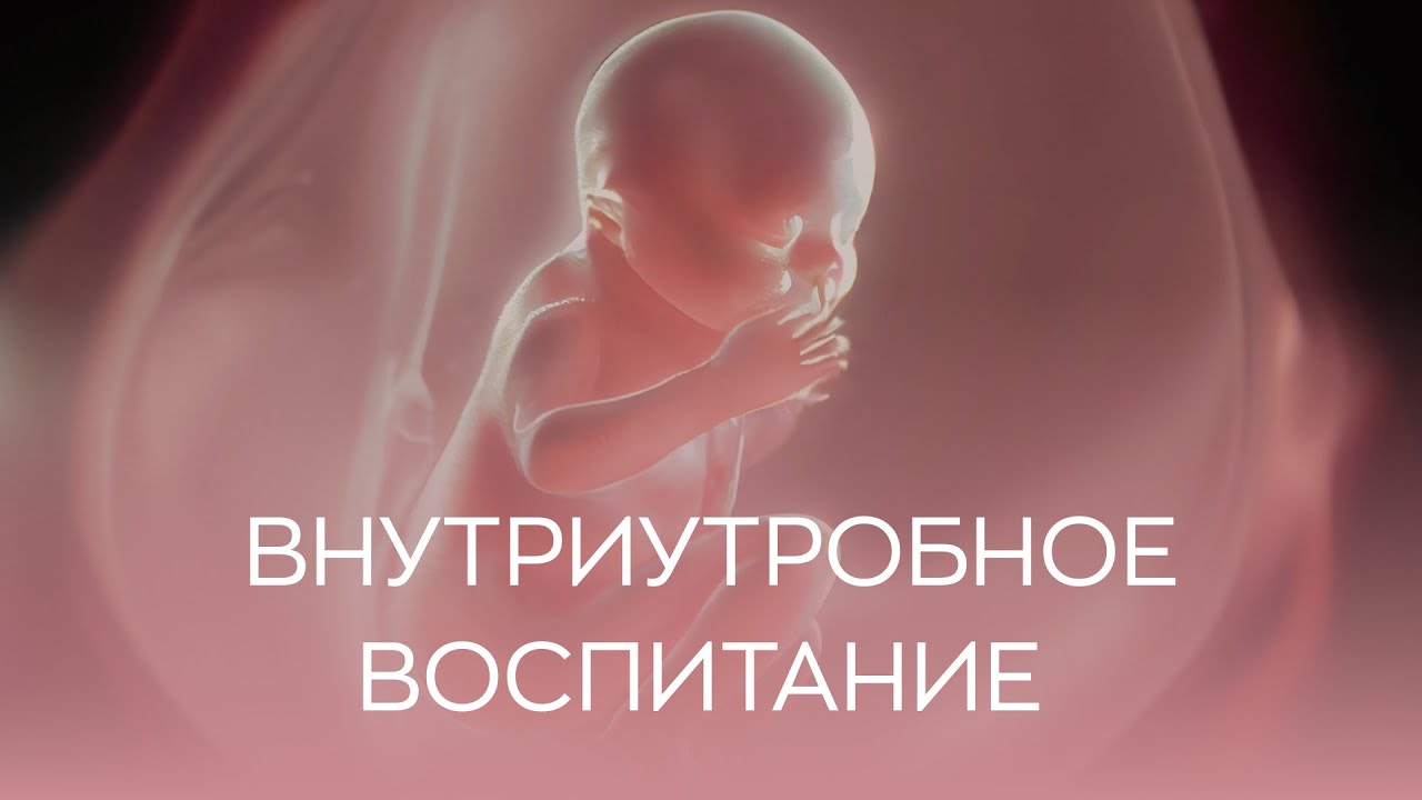 🤰​ Внутриутробное воспитание ребенка