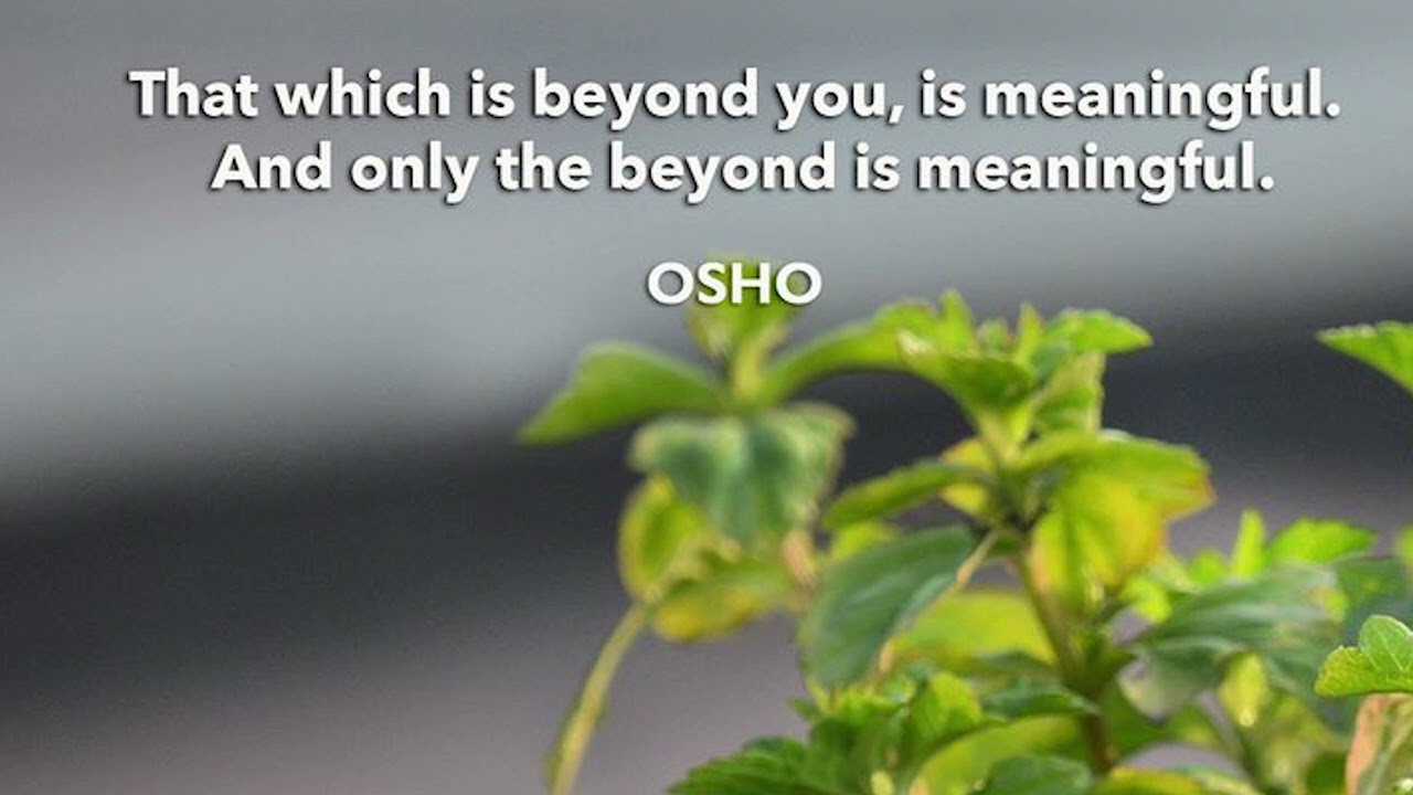 OSHO : The Book of Wisdom (ज्ञान की किताब) [English]  [Original]