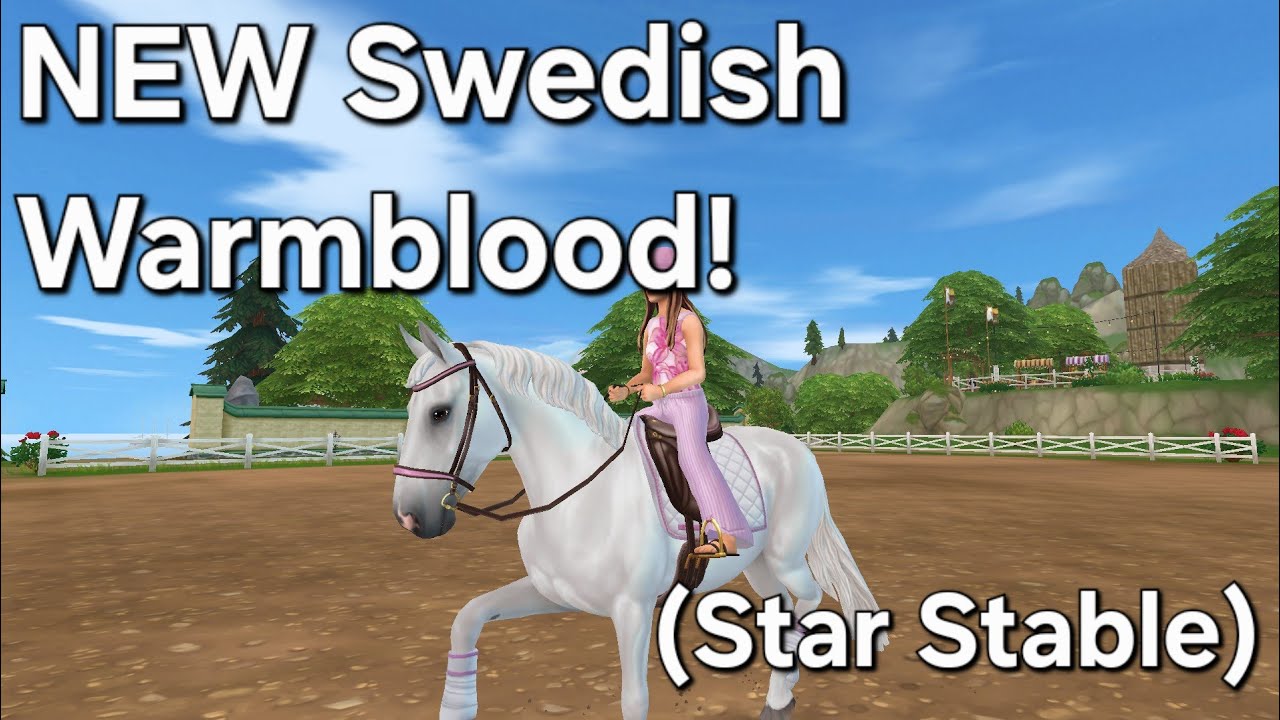 Is The New SWEDISH WARMBLOOD Worth It?