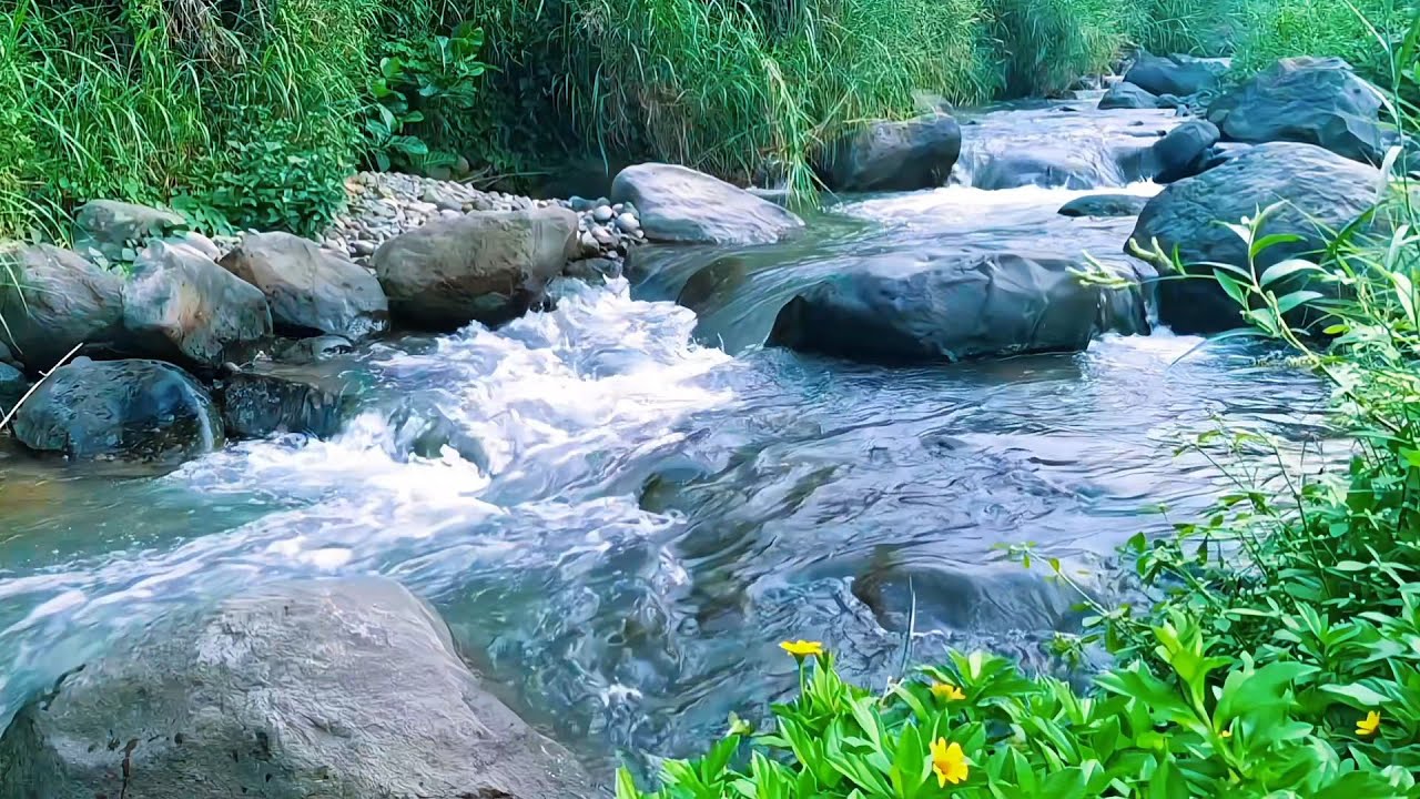 Natural River Ambience for Deep Night Rest