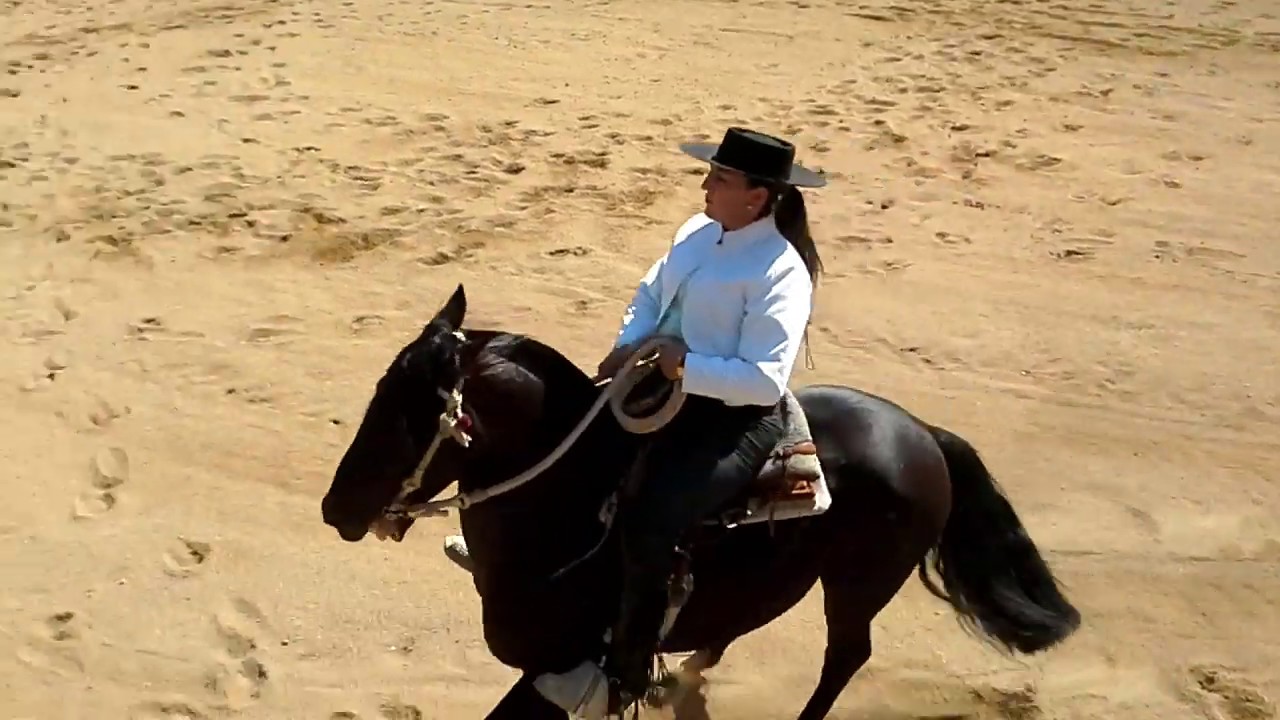 YENI TRONCOSO ..CAMPEONA NACIONAL MOVIMIENTO DE LA RIENDA 2019