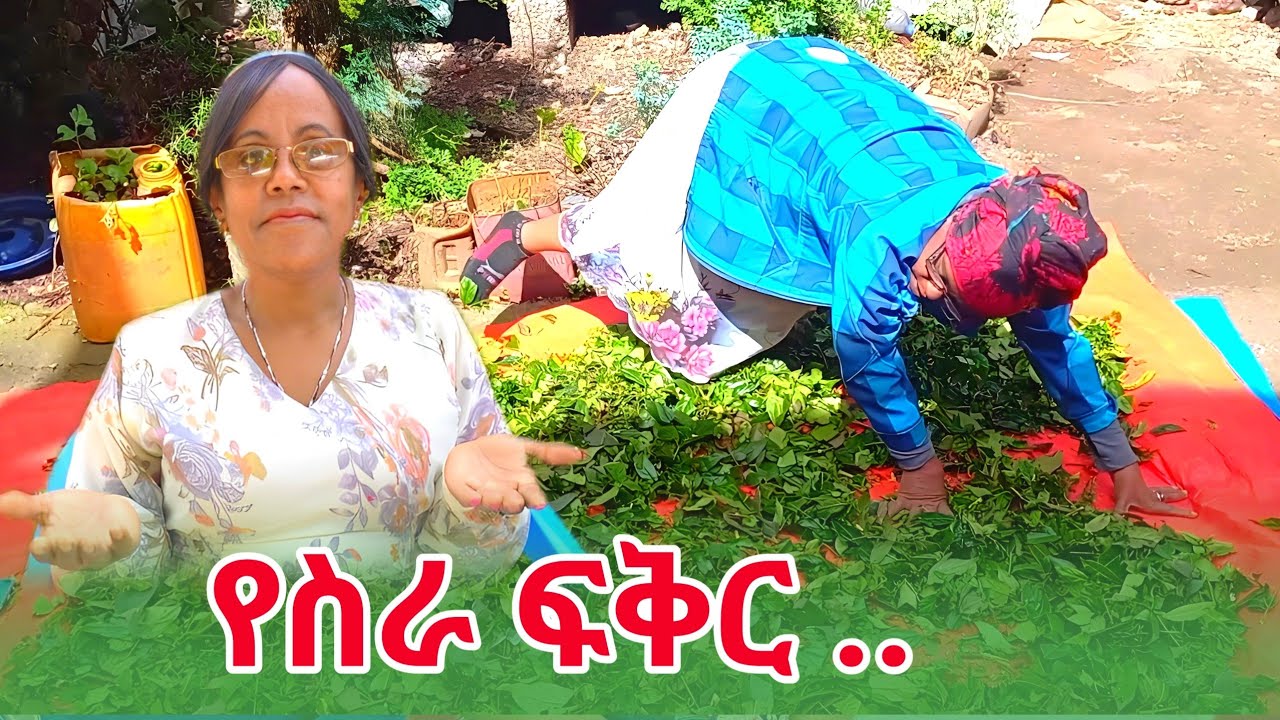 የስራ ፍቅር...