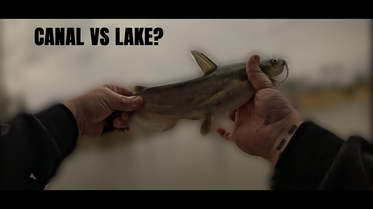 CANAL VS LAKE!? Who Saves My 3 Month Slump??? NEW PB!!!(TEMPE, AZ)