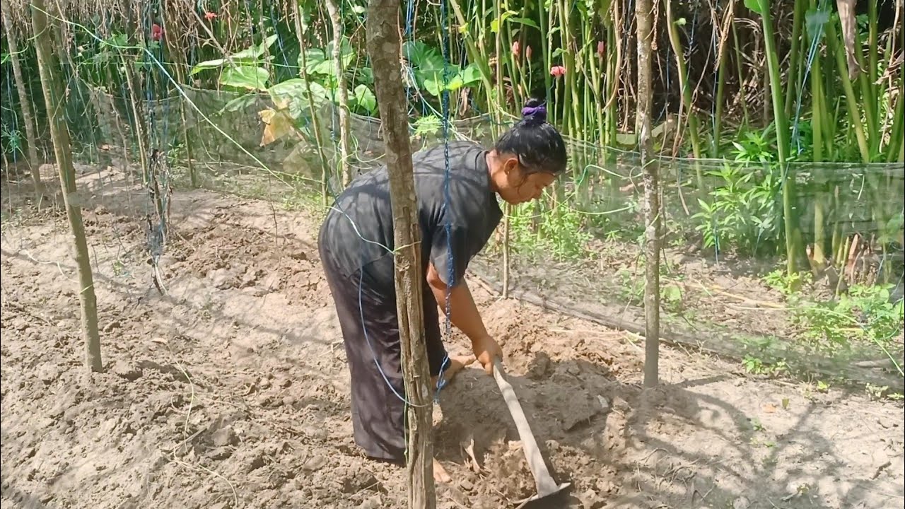 Syukur sekali selesai juga pekerjaan seperti ini saya buat sendiri 