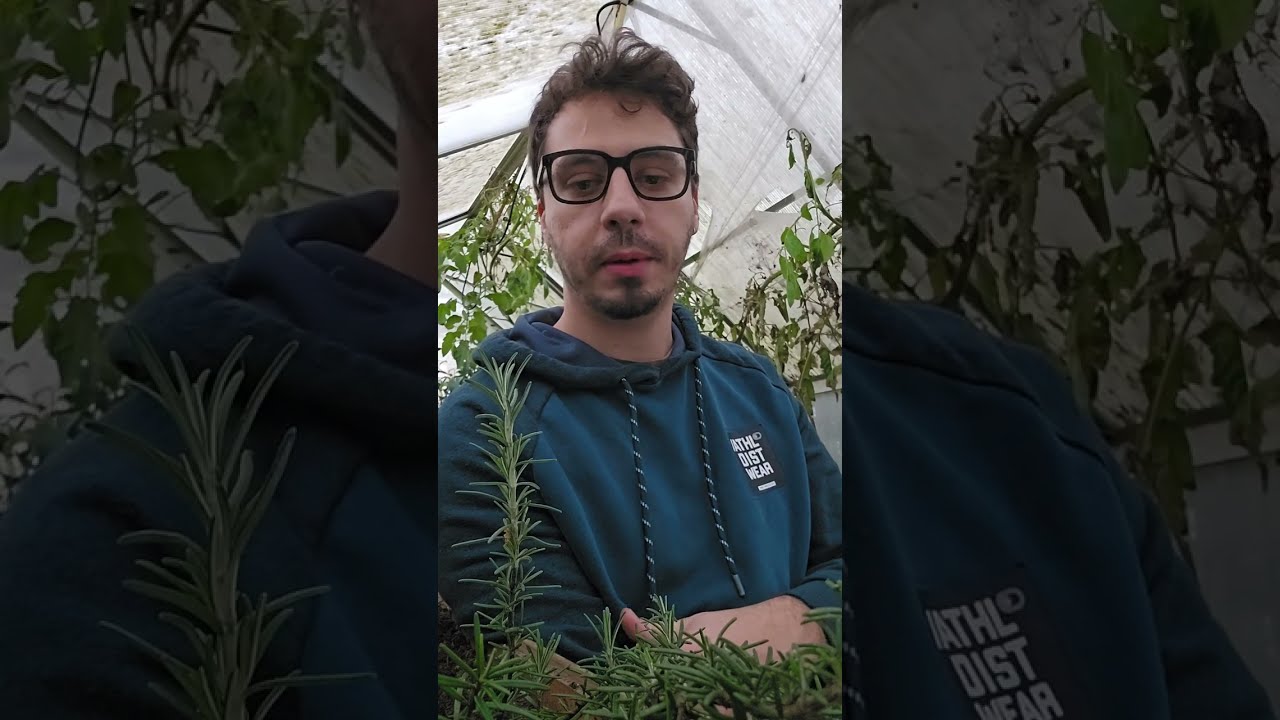 🚜€€€-Aprire una azienda agricola! Il regime di Esonero!