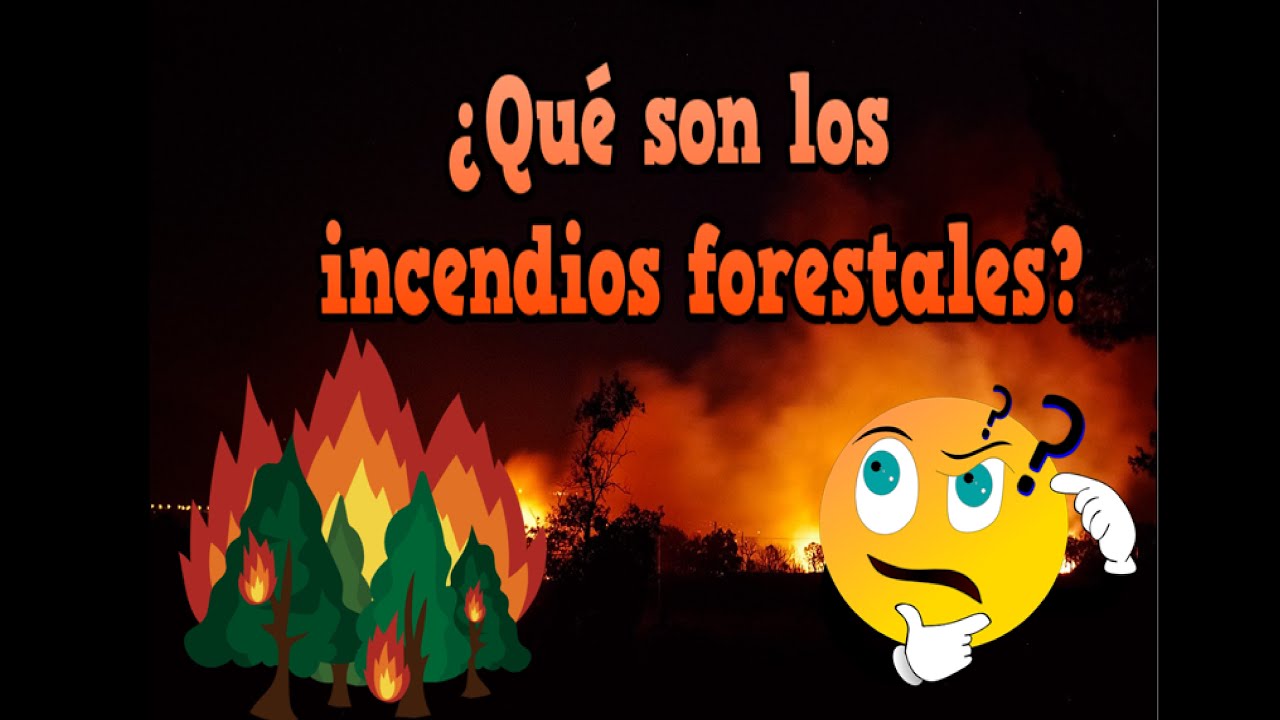 Que son los incendios forestales