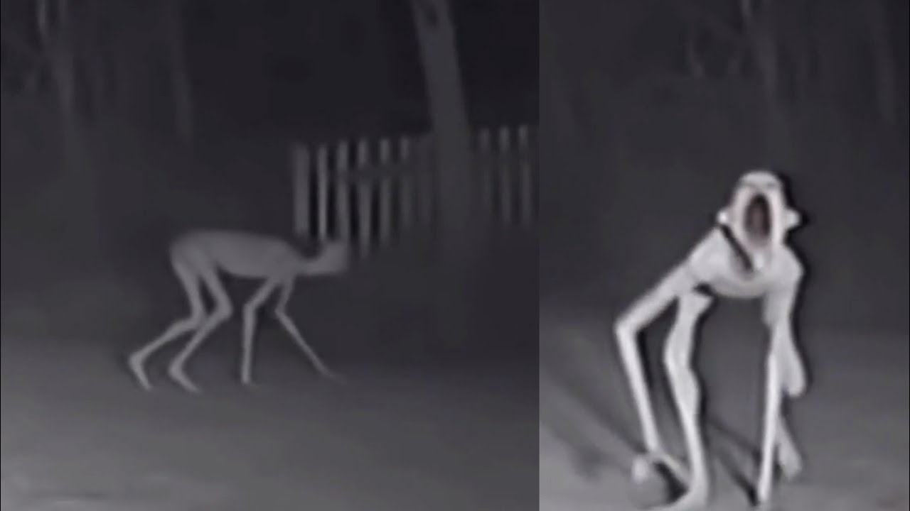 SCARIEST VIDEOS on the Internet That Documenting TRUE TERROR!