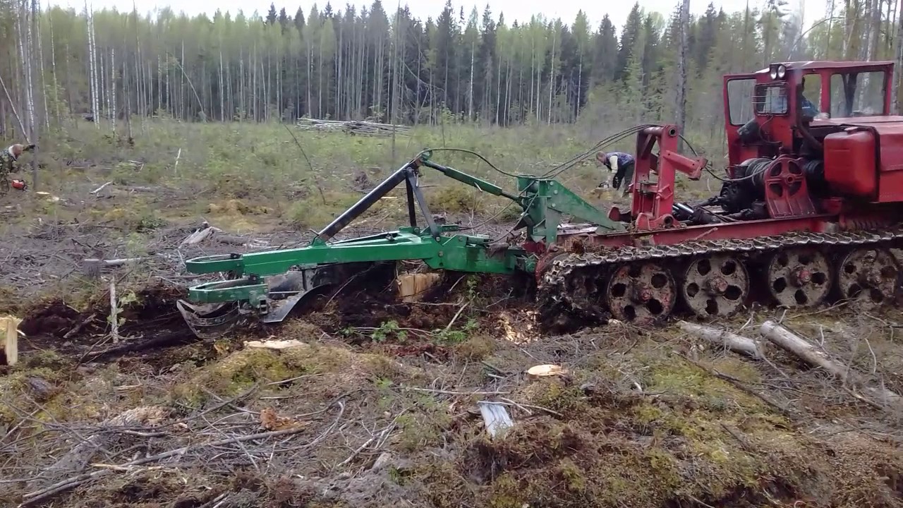 Подготовка почвы в лесу
