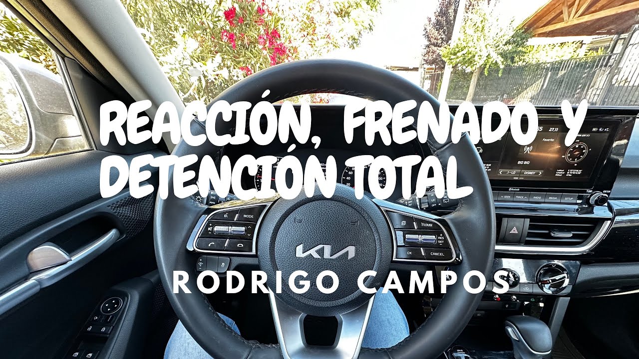Teórico Clase B | Reacción, Frenado y Detención