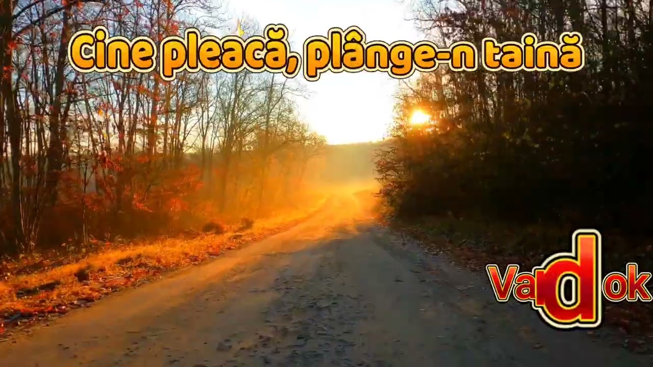 Cine pleacă, plânge-n taină 