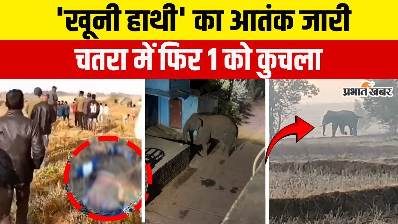 Jharkhand : अब भी झारखंड में जारी है 'खूनी हाथी' का आतंक, Chatra में फिर 1 को कुचलकर मारा