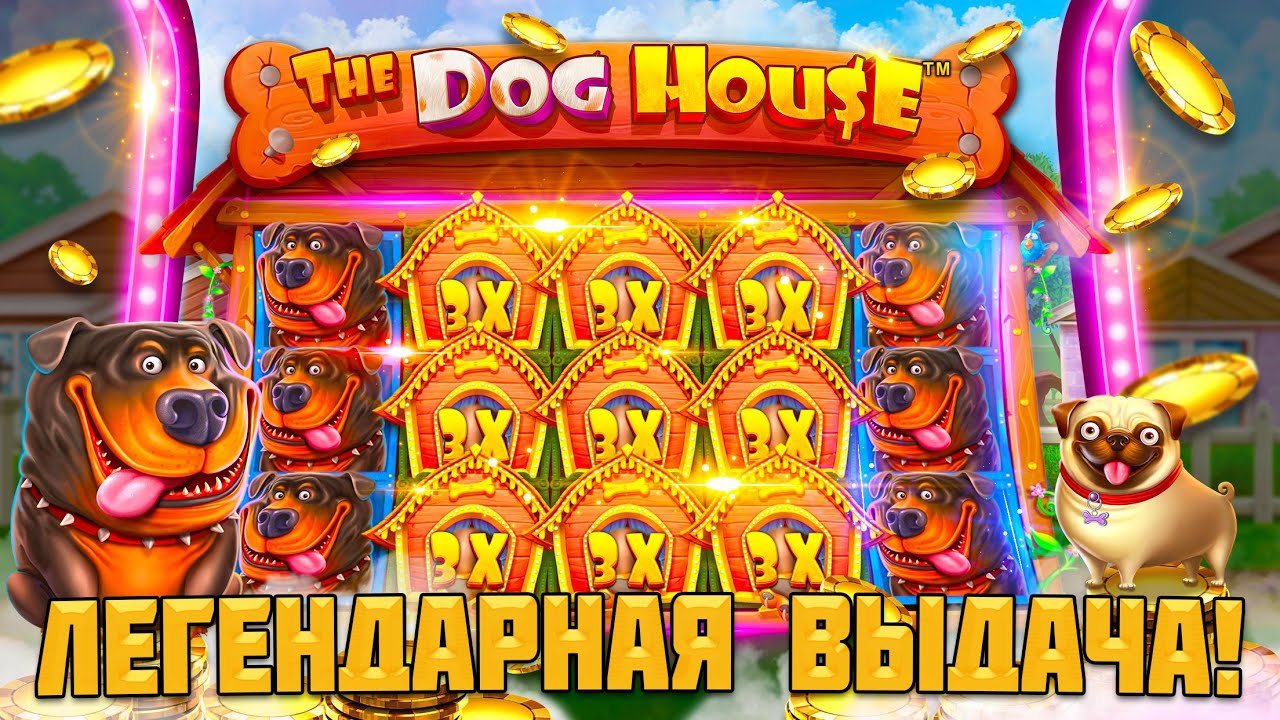 ПРОШЁЛСЯ ПО РАЗНЫМ DOG HOUSE / ПОЙМАЛ ОГРОМНУЮ ПОЛЯНУ БУДОК ПО БОЛЬШОЙ СТАВКЕ!