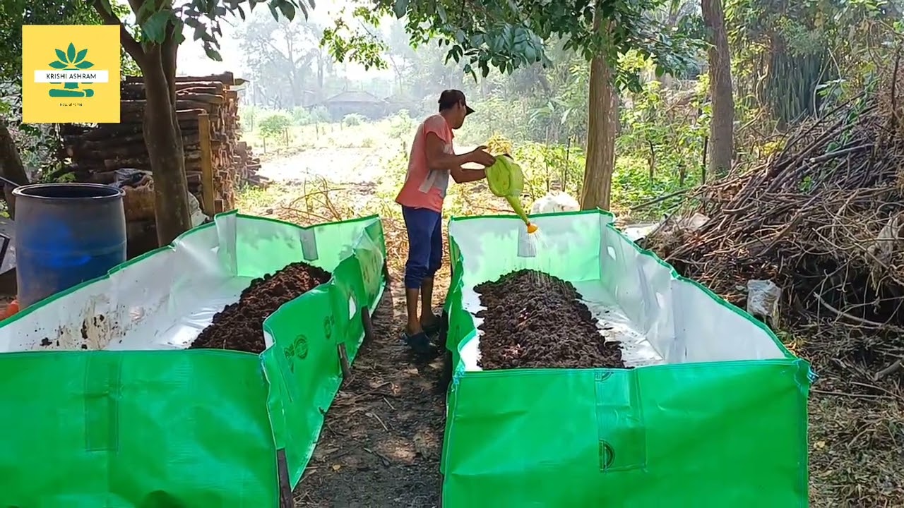 ঘন জিভামৃত তৈরীর সহজ পদ্ধতি। Simple process of making ghan-Jeevamrit. Natural Farming Techniques.
