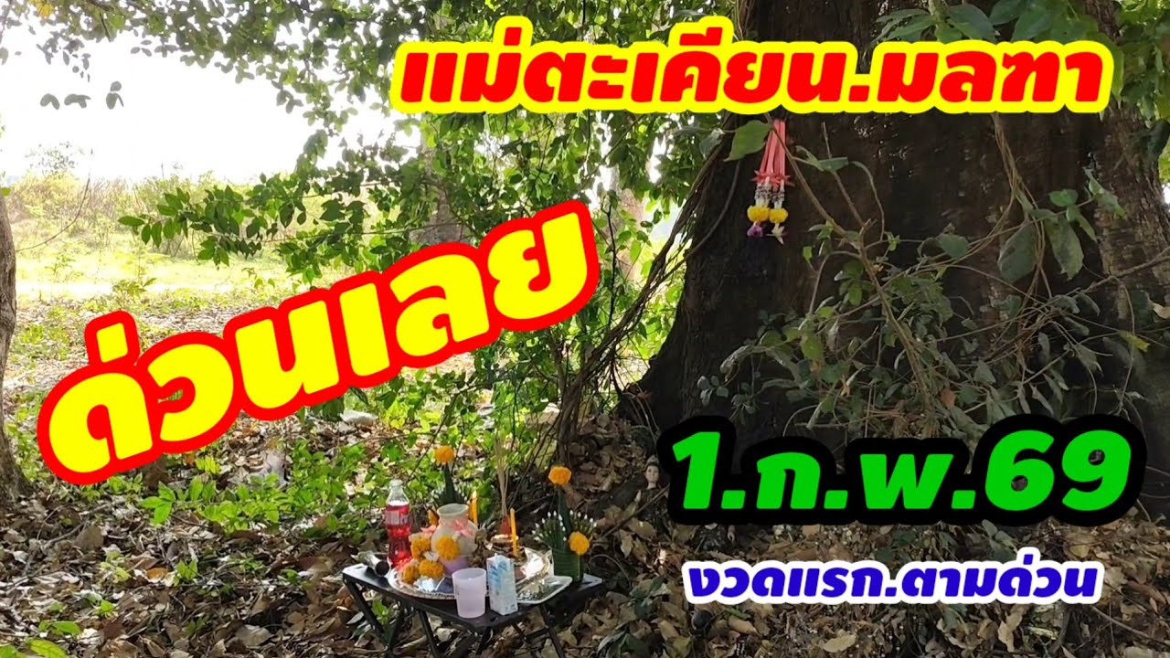 รีบดู.1.ก.พ.69.แม่ตะเคียน.มลฑา.ให้.3.ตัวตรงอีกแล้วห้ามพลาด.ตามด่วน