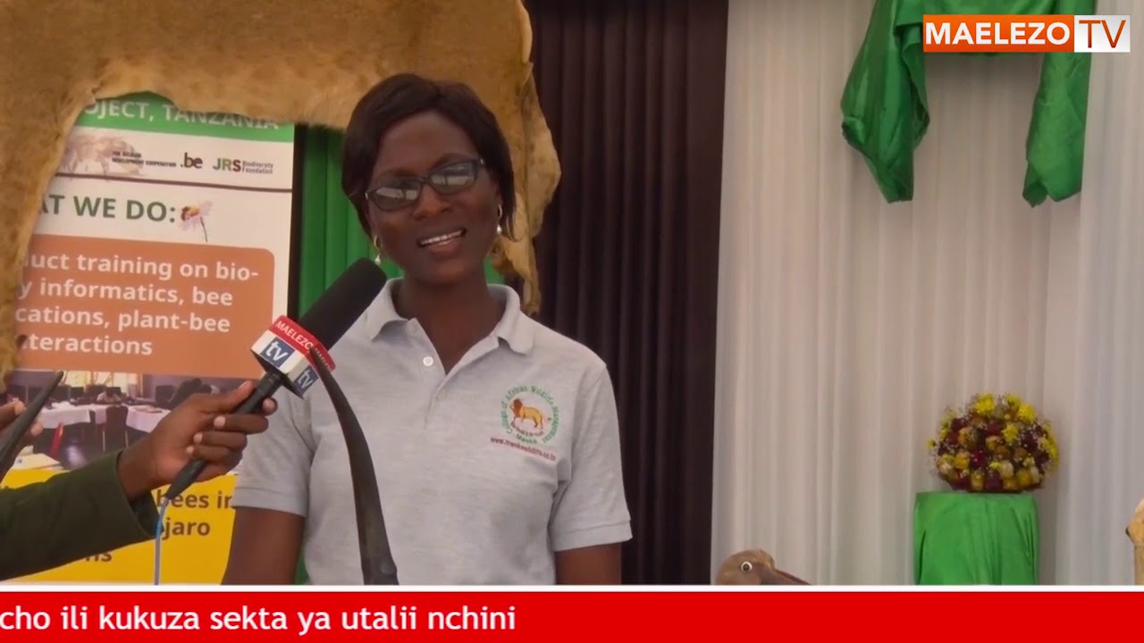TAZAMA VIDEO HII UFAHAMU KUHUSU CHUO CHA MWEKA KINACHOTOA MAFUNZO YA USIMAMIZI WA WANYAMAPORI