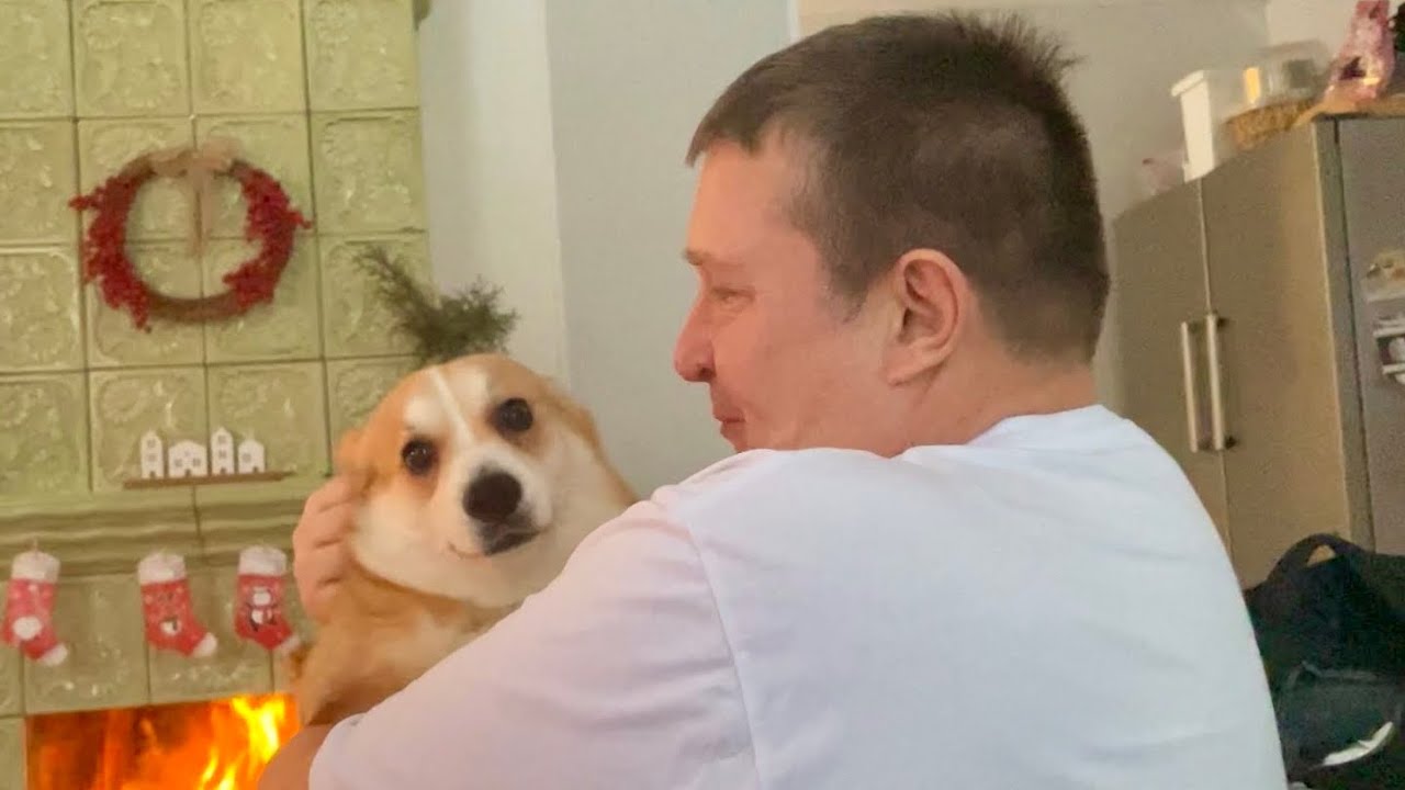 Наша охрана все проспала😁 пеку хлеб 🍞пора ее уже убрать! VLOG