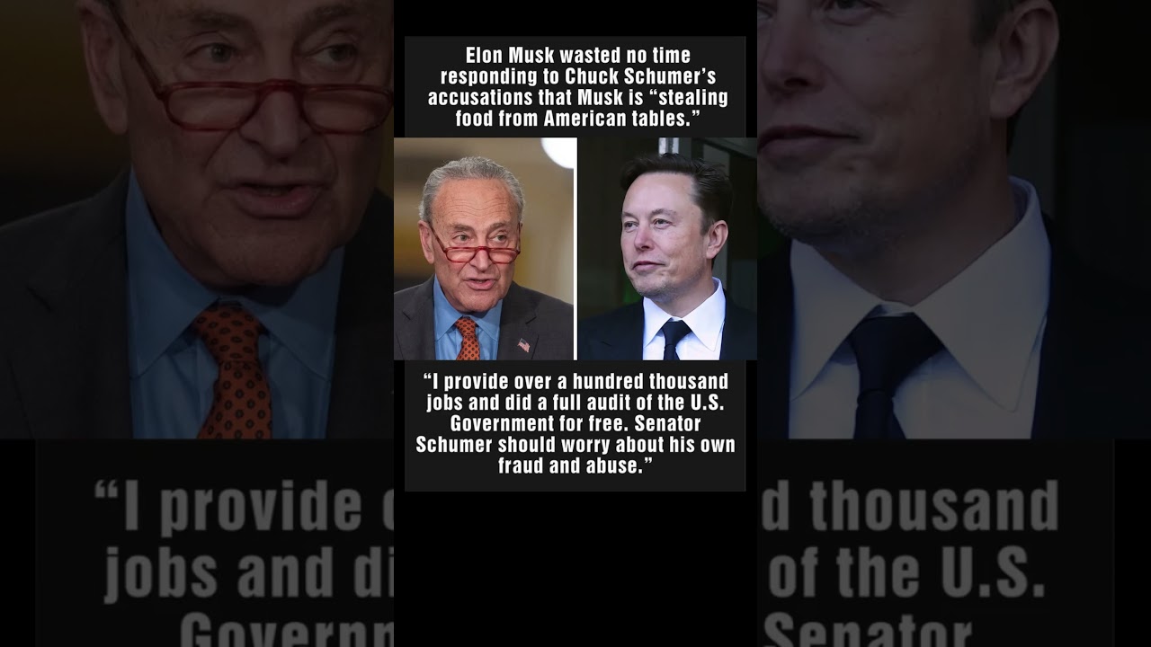 Elon Musk Fires Back at Chuck Schumer
