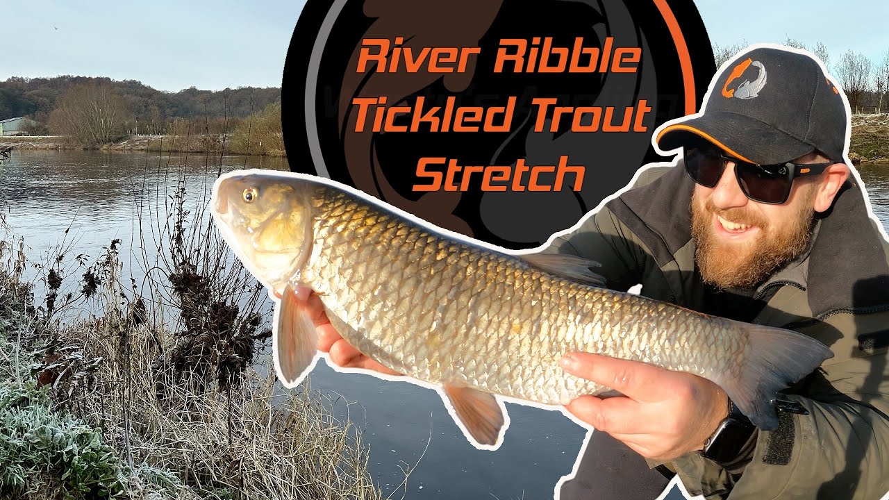 Feeder Fishing In Sub Zero Temperatures | River Ribble Tickled Trout Stretch
