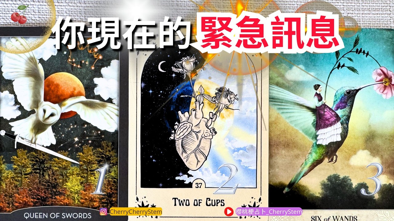🍒 💝「你需要的」拿去！這正是你現在需要的♥️ 有字幕 🟣無時間限制占卜 🟡  #塔羅 #占卜#愛 #戀愛 #貴人 #事業 #工作 #指引 #金錢 #財富 #投資 #人際關係 #感情 #高我