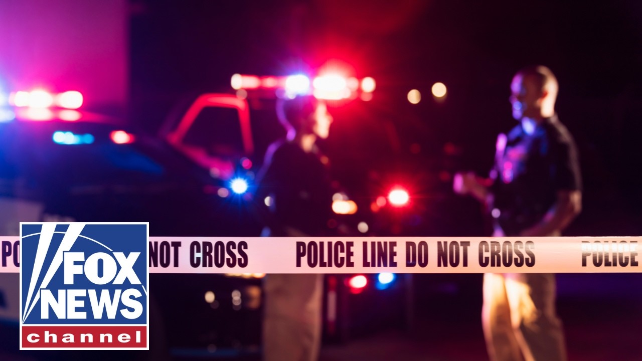 Illegal immigrants CHARGED in brutal Florida murder cases