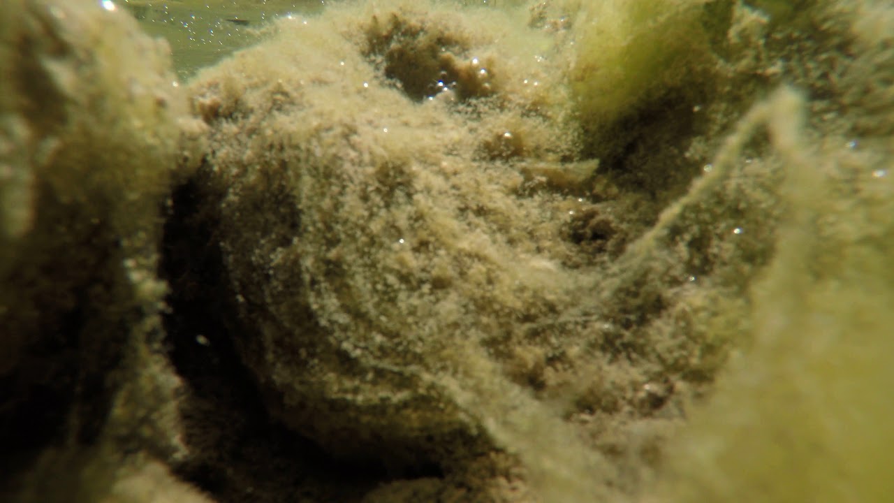 Fiume Calore Salernitano