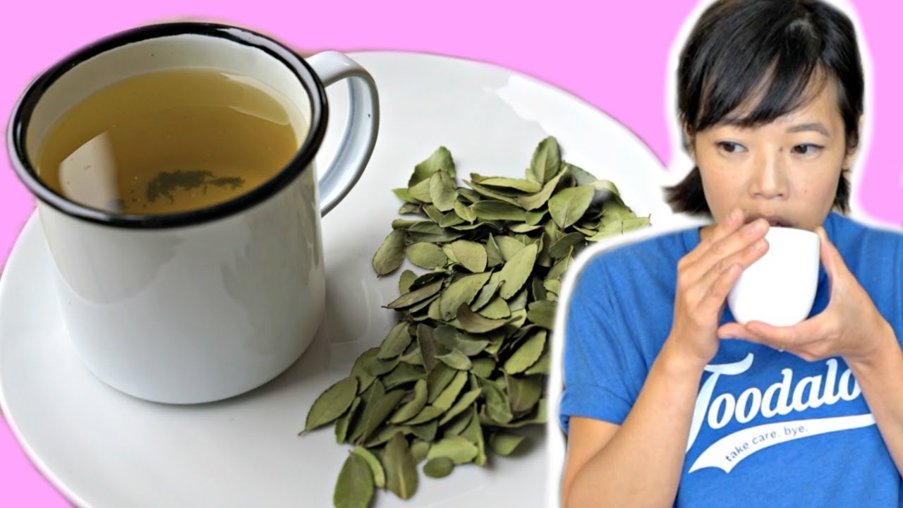 Civil War Coffee Alternative - Yaupon Tea - N. America's only native CAFFEINATED plant | HARD TIMES