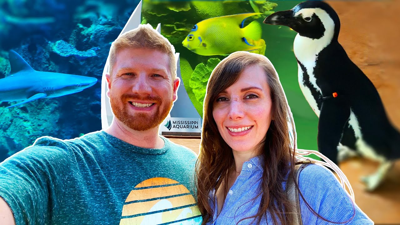 Mississippi Aquarium (Gulfport, MS) // Exploring the all-new aquarium!