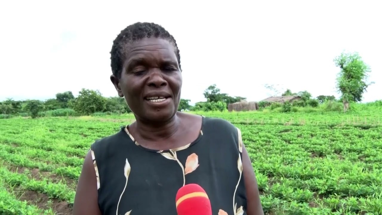 Dziko la Mkaka ndi Uchi - 24 February 2022