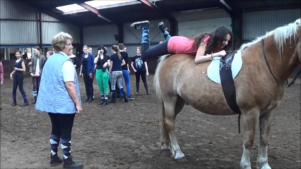 Meikamp 2014 Manege van loon