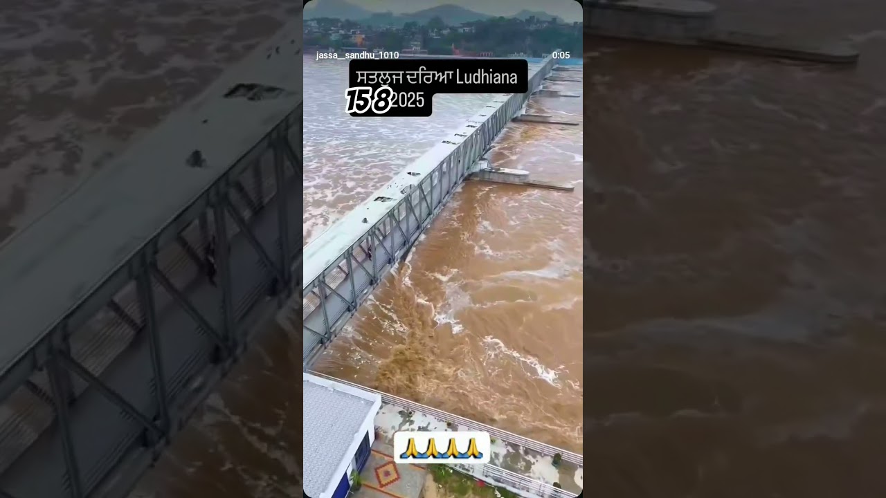 satluj river #satluj #flood #water #explore #viralvideo #satluj #river #dam #likeandsubscribe
