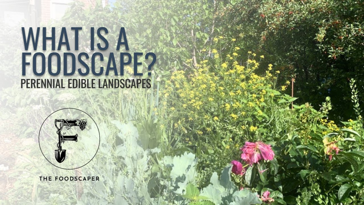 What is a foodscape?