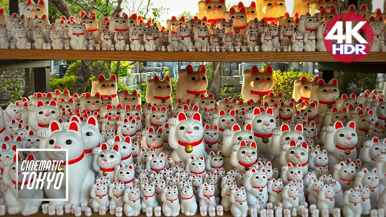 Walking Tokyo - Lucky Cat Temple at Gotokuji walking tour | 招き猫発祥の地とも呼ばれる豪徳寺へ【東京散歩】4K HDR Japan