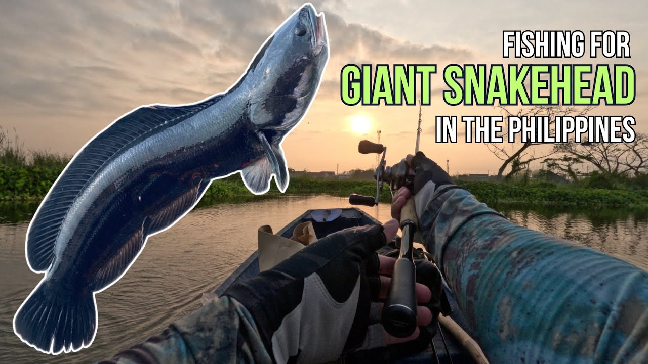 Navigating Bulacan's Waters for Giant Snakehead | Toman Fishing in the Philippines | Ep. 001