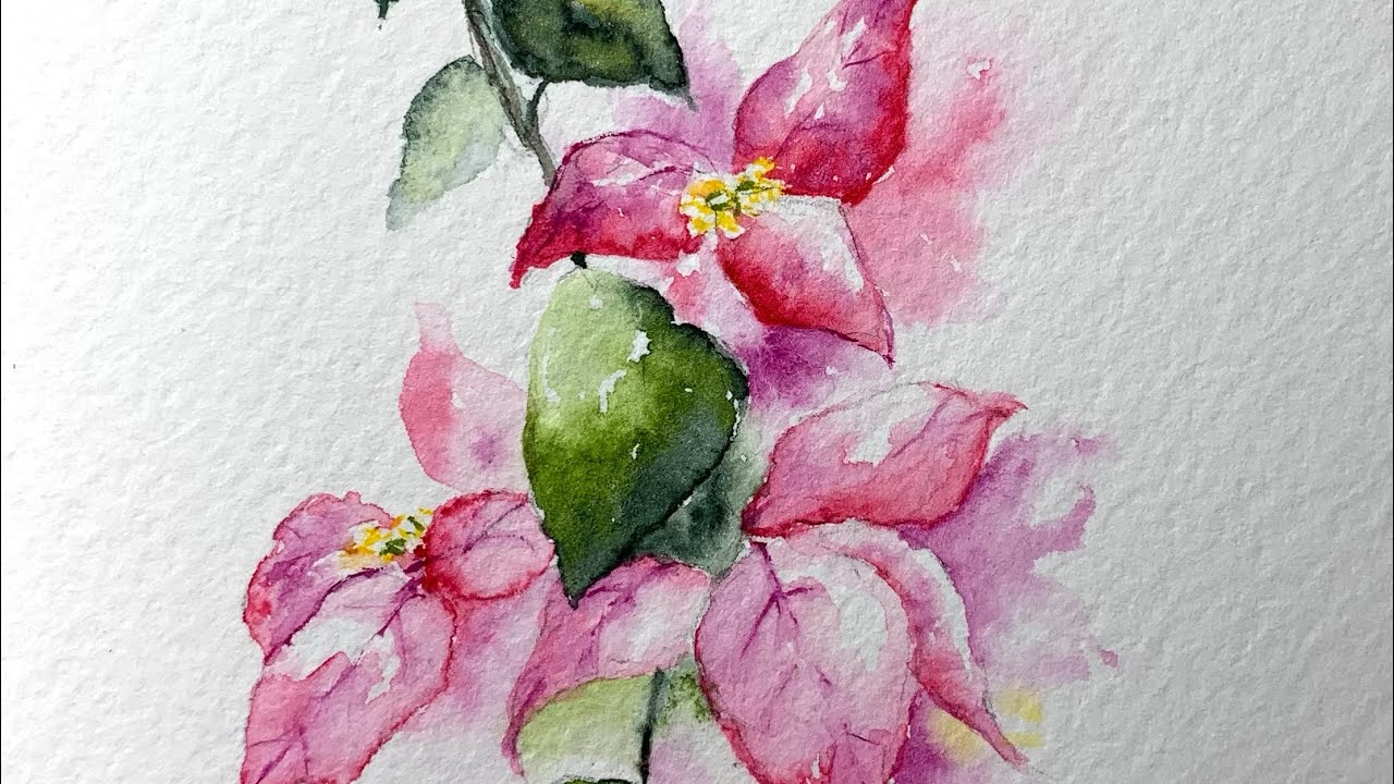 Watercolor Bougainville paint along demo tutorial