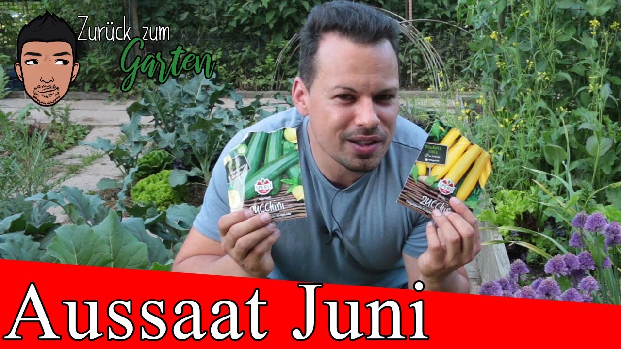 Was kann man im Juni aussäen? - Aussaat Juni im Gemüsegarten