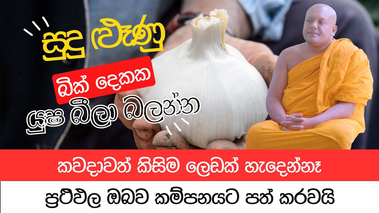 සුදු ළූණු බික් දෙකක යුෂයෙන් කවදාවත් කිසිම ලෙඩක් හැදෙන්නෑ