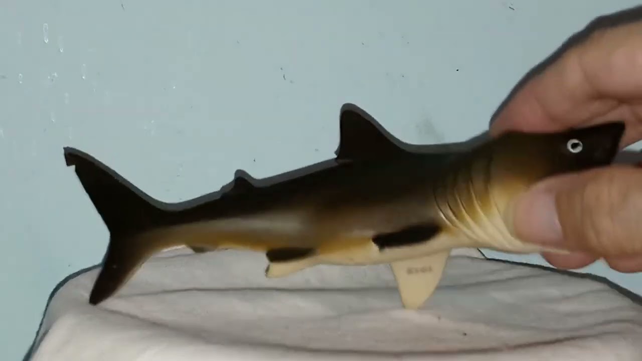 Toy Review  Basking Shark